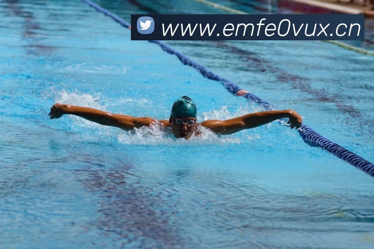 星空网官网品牌故事